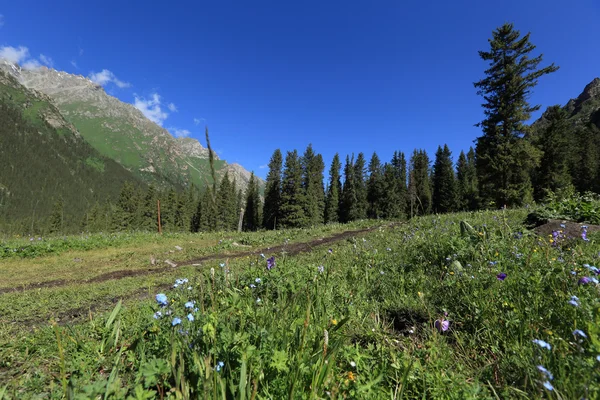 Bellissimo paesaggio montano nello Xinjiang — Foto Stock