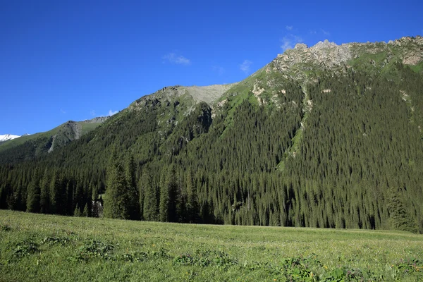 Vackra landskap i Xinjiang — Stockfoto