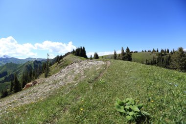 güzel hiking trail ben