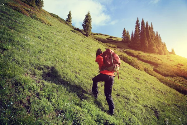 Backpacker vandring på berget — Stockfoto