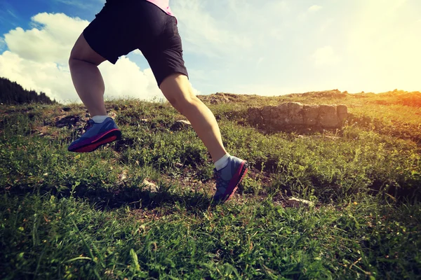 Trail runner running on peak — Stock Photo, Image