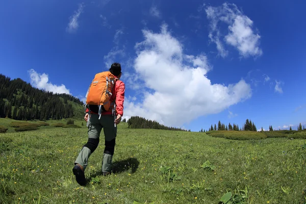 Backpacker wandelen op de berg — Stockfoto