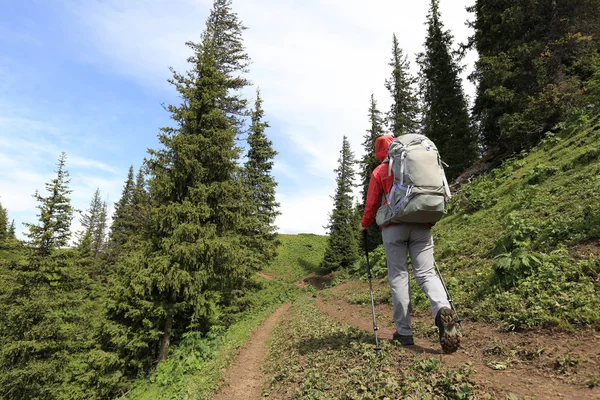 Backpacker wandelen op de berg — Stockfoto