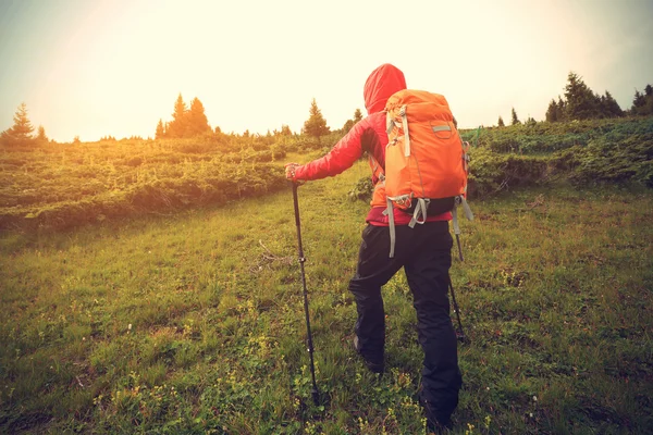 backpacker dağda hiking  