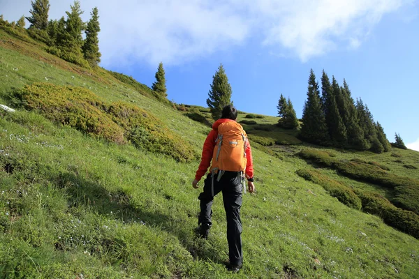 Backpacker piesze wycieczki na szlak górski — Zdjęcie stockowe