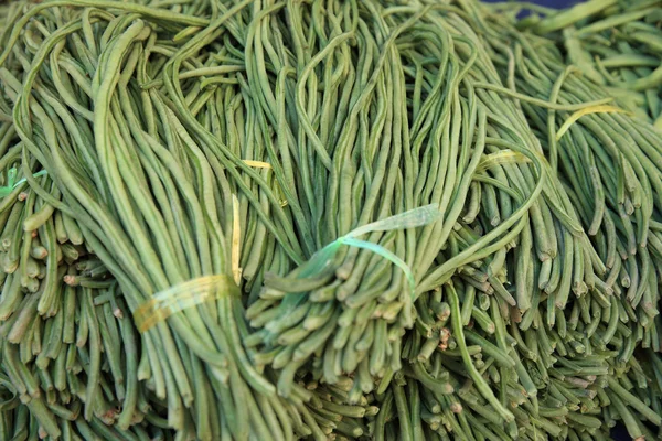 Fresh green beans — Stock Photo, Image