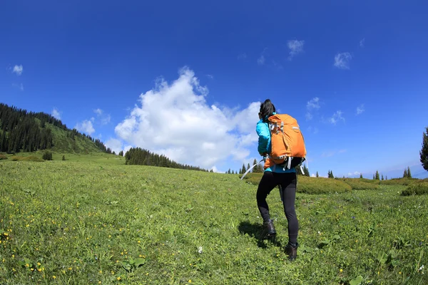 Backpacker πεζοπορία στο μονοπάτι του βουνού — Φωτογραφία Αρχείου