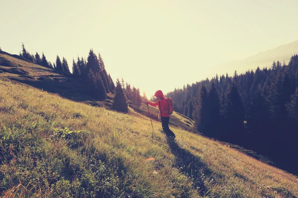 Backpacker piesze wycieczki w góry — Zdjęcie stockowe