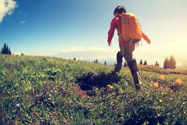 Backpacker hiking on mountain — Stock Photo, Image