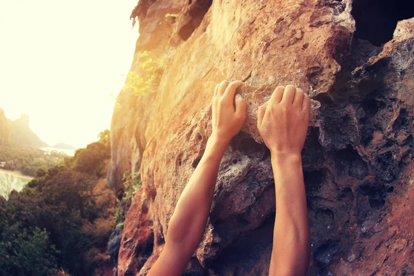 Szikla mászó kezét, hegymászás — Stock Fotó