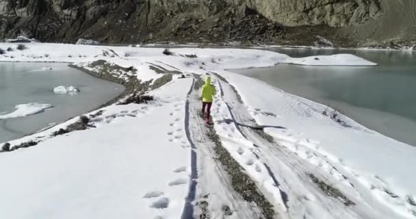 Vrouw Trail Loper Cross Country Hardlopen Winter Natuur — Stockvideo