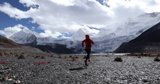 Mujer Trail Runner Cross Country Running Invierno Naturaleza Cámara Lenta — Vídeos de Stock