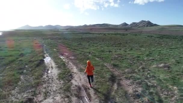 湖の近くの草原を走る女トレイルランナー — ストック動画