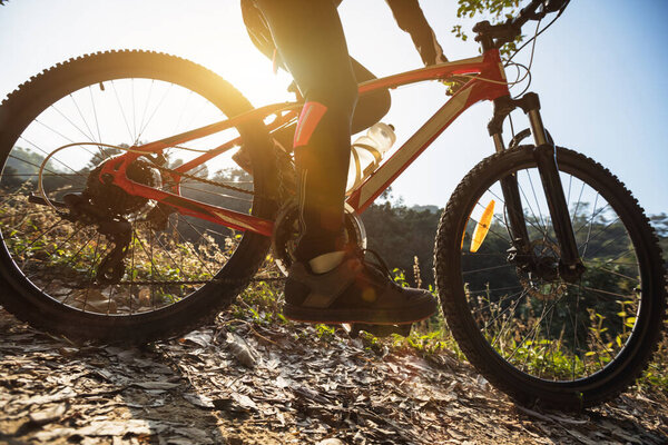 Woman cyclist cycling on sunrise winter forest trail