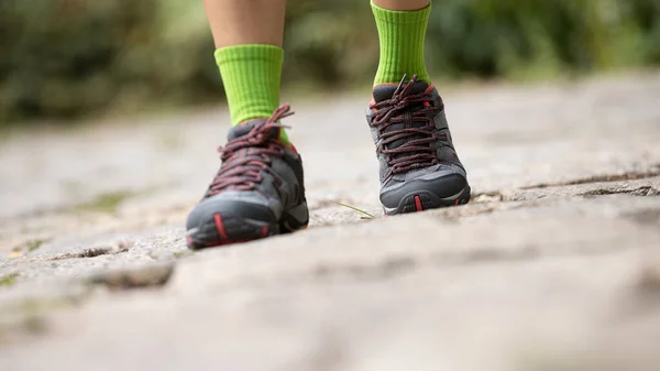 Young Fitness Woman Hiker Legs Walking Forest Trail — Stock Photo, Image
