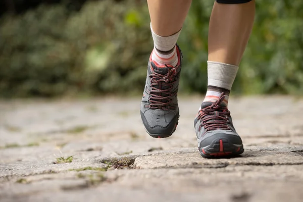 Young Fitness Woman Hiker Legs Walking Forest Trail — Stock Photo, Image