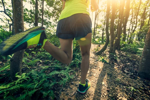 Fitness Mulher Corredor Trilha Correndo Floresta Tropical — Fotografia de Stock