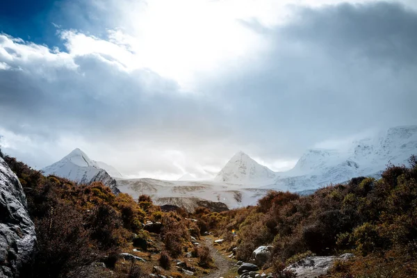 Stezka Vede Zasněžených Hor Pod Modrou Oblohou Tibetu Čína — Stock fotografie