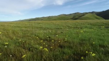 Yazın dağ manzarası