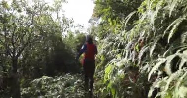 Genç bir kadın ormanda koşuyor.