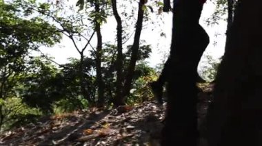 Genç bir kadın ormanda koşuyor.