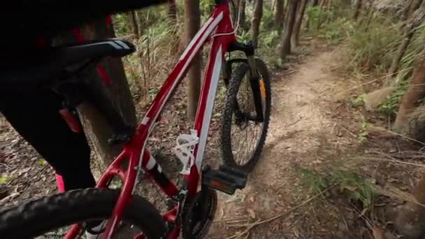 Radfahrerin Mit Rotem Rucksack Wald Unterwegs — Stockvideo