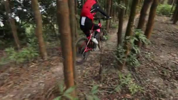 Ciclista Mujer Con Mochila Roja Cabalgando Una Bicicleta Bosque — Vídeo de stock