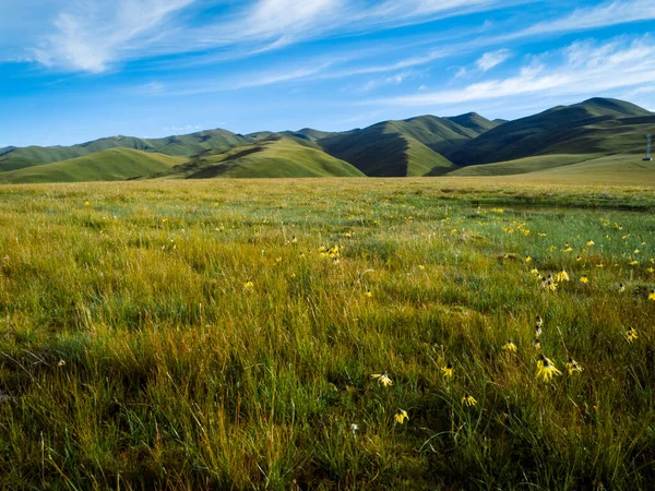 High altitude mountains with grassland landscape