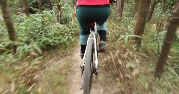 Ciclista Donna Con Zaino Rosso Sella Una Bicicletta Nel Bosco — Video Stock