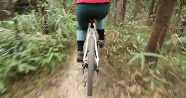 Radfahrerin Mit Rotem Rucksack Wald Unterwegs — Stockvideo