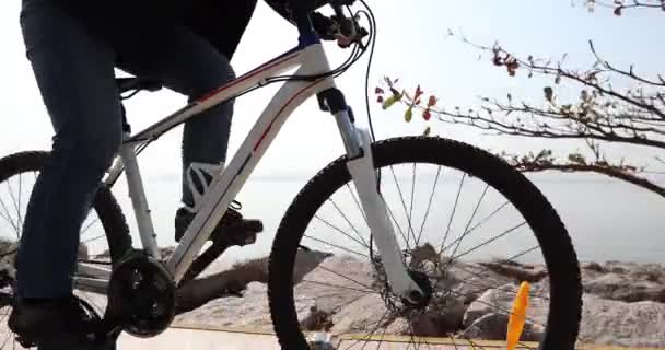 Bisiklet süren genç bir kadın — Stok video