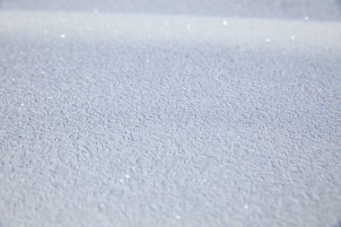 Kışın araba kaputunda buzlu doku