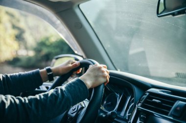 Doğada araba sürmek.