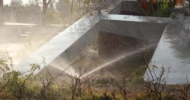 公園内の水噴霧シャワーの自然シーン — ストック動画