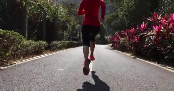 Asiatic femeie jogging la parc — Videoclip de stoc