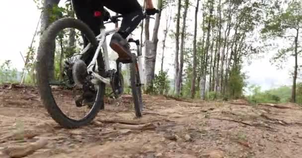 Mulher Ciclista Ciclismo Topo Montanha Trilha Florestal — Vídeo de Stock