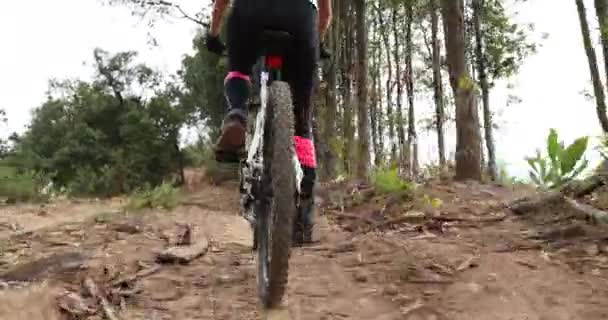 Ciclista Mujer Bicicleta Montaña Sendero Bosque Superior — Vídeos de Stock
