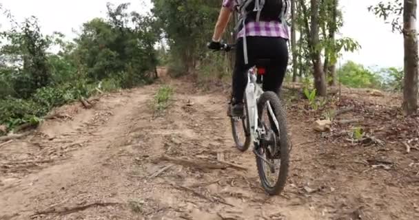 Radfahrerin Radelte Auf Waldweg — Stockvideo