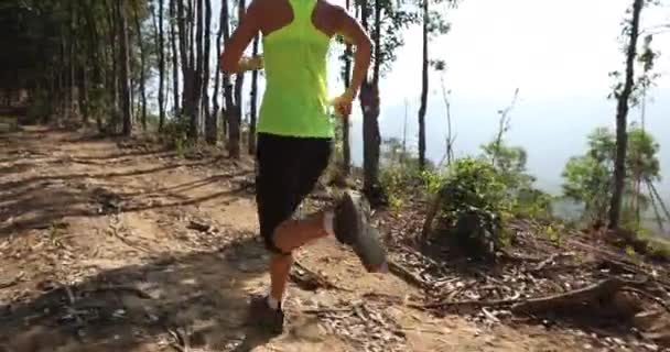 Corredor Senderos Mujer Fitness Corriendo Amanecer Pico Montaña Bosque Tropical — Vídeos de Stock