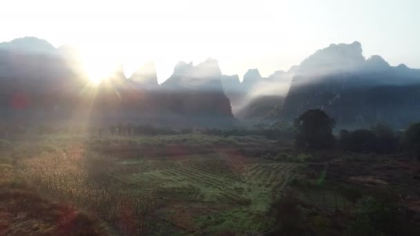 Belas Árvores Verdes Exuberantes Montanhas Tropicais Manhã Verão Nebulosa — Vídeo de Stock