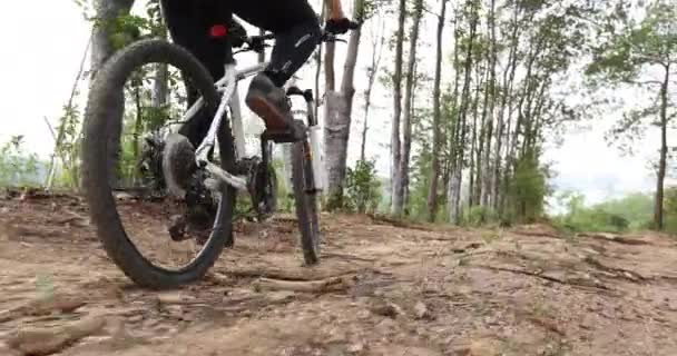 Radfahrerin Radelte Auf Waldweg — Stockvideo