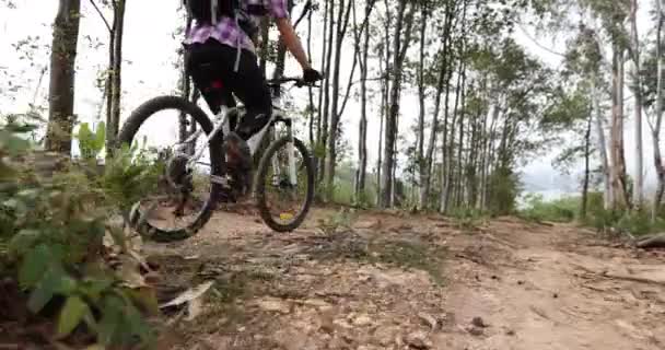 Ciclista Mujer Bicicleta Montaña Sendero Bosque Superior — Vídeos de Stock