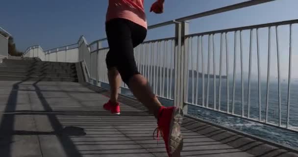 Hälsosam Livsstil Fitness Kvinna Löpare Kör Havet Spår — Stockvideo