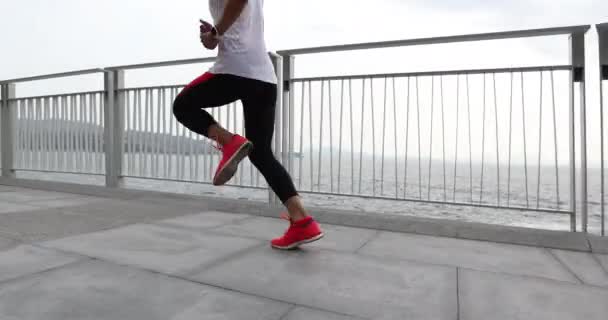 健康的なライフスタイルフィットネススポーツの女性ランナーが海辺の歩道を走っています — ストック動画