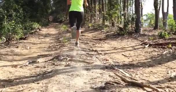 Gündoğumunda Tropik Orman Zirvesinde Koşan Fitness Kadın Patika Koşucusu — Stok video