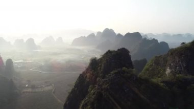 Güzel yemyeşil ağaçlar sisli yaz sabahında tropik dağlarda