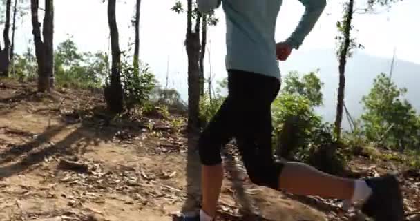 Fitness Kvinna Trail Löpare Kör Soluppgång Tropisk Skog Bergstopp — Stockvideo