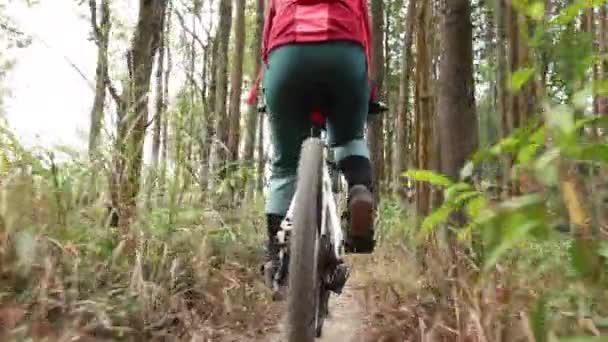 Ciclista Mujer Bicicleta Montaña Sendero Bosque Superior — Vídeo de stock