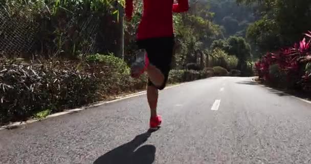 Fitnessläuferin Läuft Auf Parkspur — Stockvideo