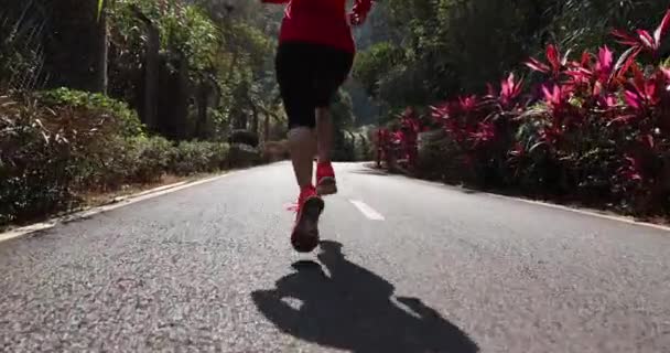 健康女性跑步者在公园小径上奔跑 — 图库视频影像
